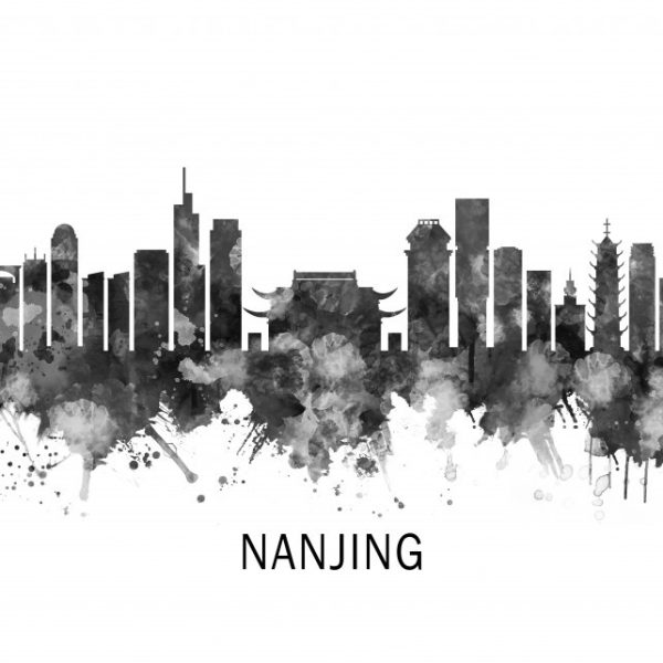 900_Towseef-Dar_Nanjing2 900_Towseef-Dar_Nanjing2